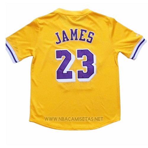 Camiseta Manga Corta Los Angeles Lakers Lebron James NO 23 Amarillo